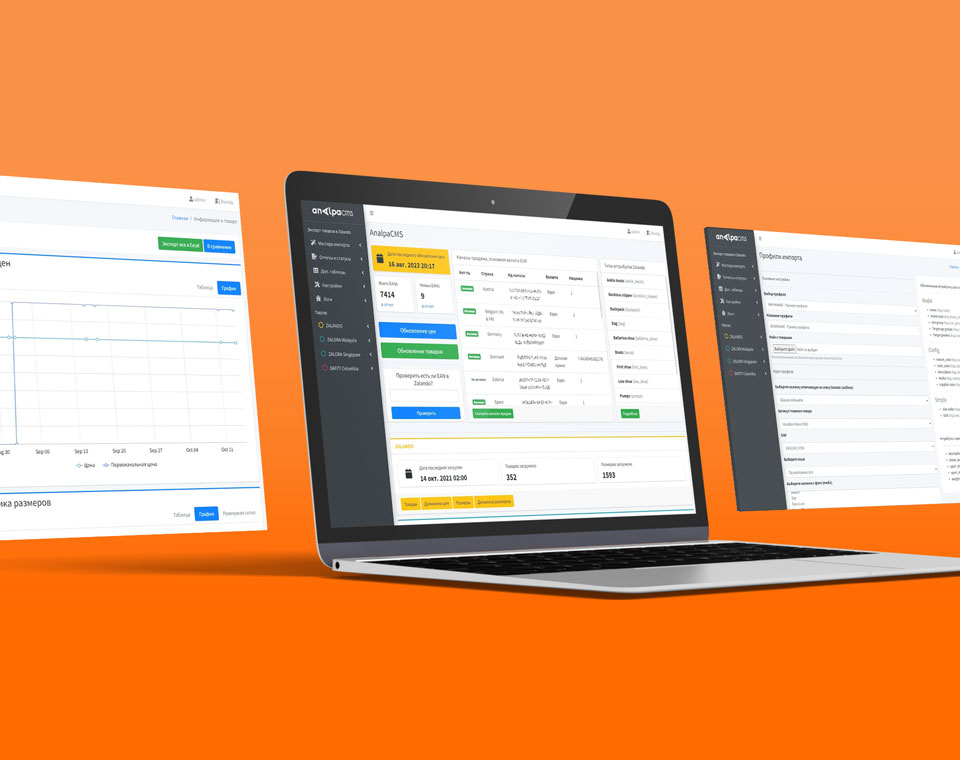 Разработка Web-приложения для эффективной работы с популярным маркетплейсом Zalando (YII2, NodeJs)